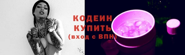 крисы Чердынь
