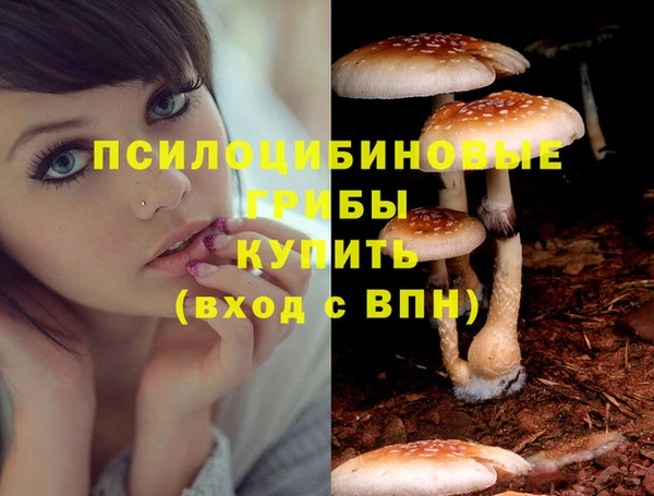 MDMA Алзамай