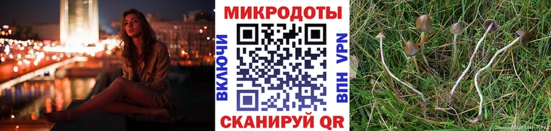 Псилоцибиновые грибы прущие грибы  Томск 