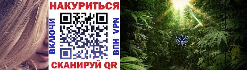 Конопля ГИДРОПОН Томск